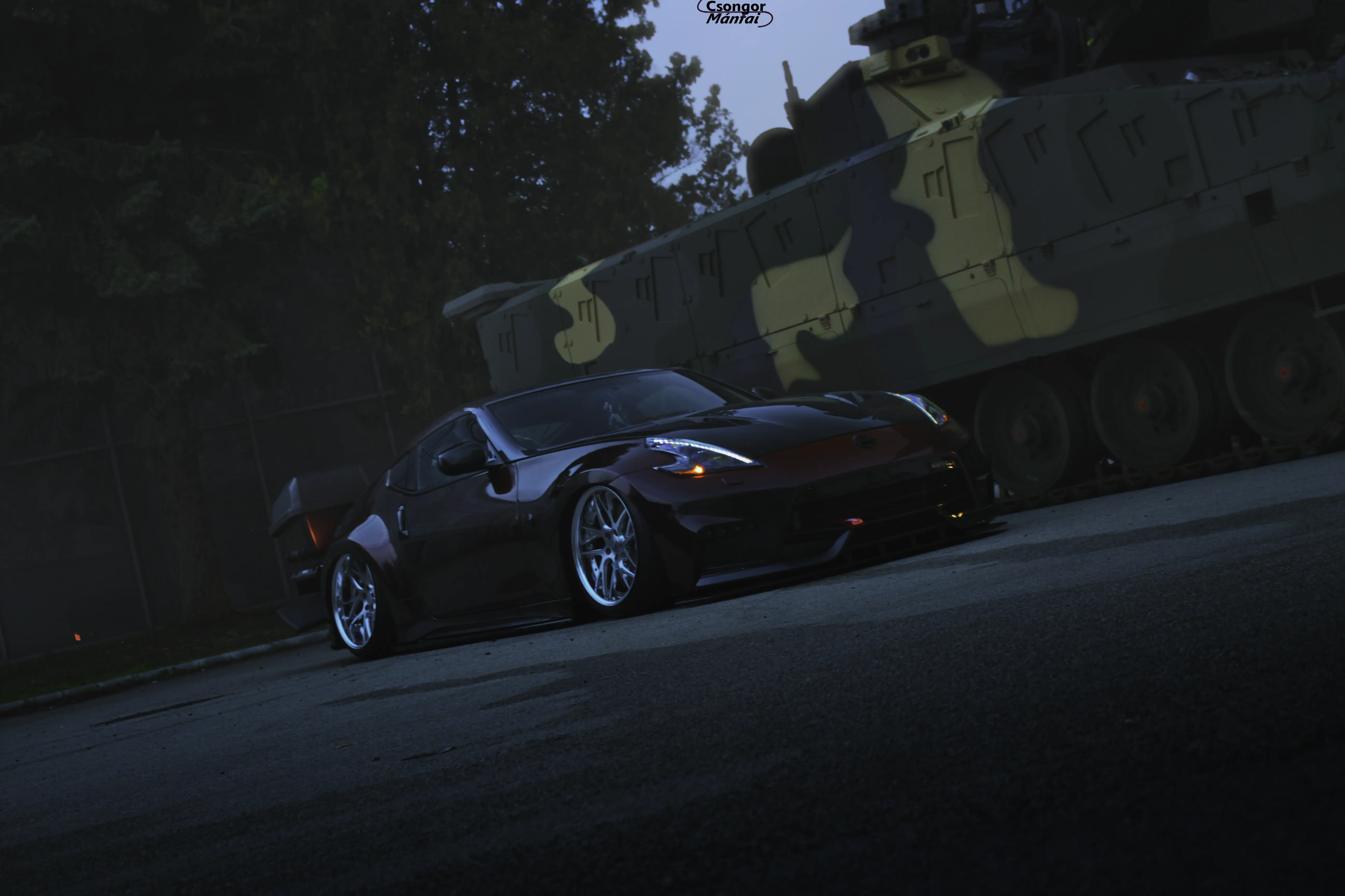 AMTS 370Z 22
